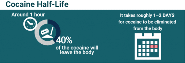 How Long Does Cocaine Stay In Your System? (Urine, Blood, Hair)