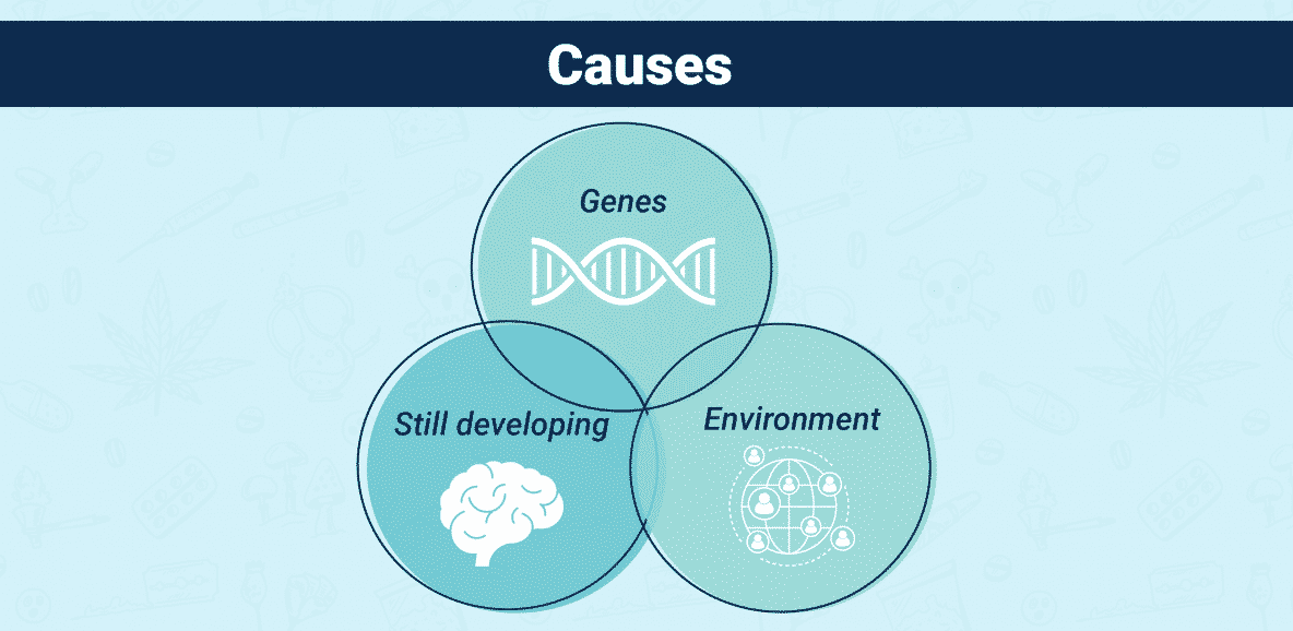 Causes of Teen Addiction Infographic